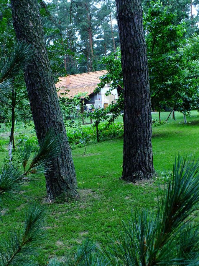 Agroturystyka Przysiółek Trzonki Apartamento Pisz Exterior foto